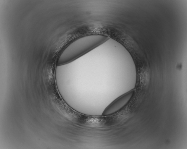 X0000114560611200911161225