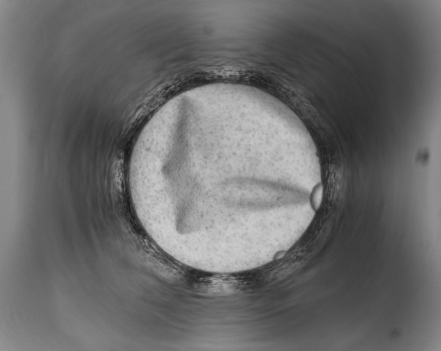 X0000114560612200911161225