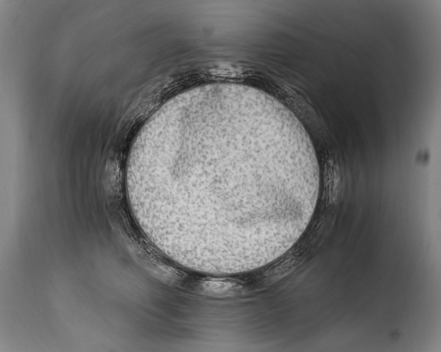 X0000114560614200911161225