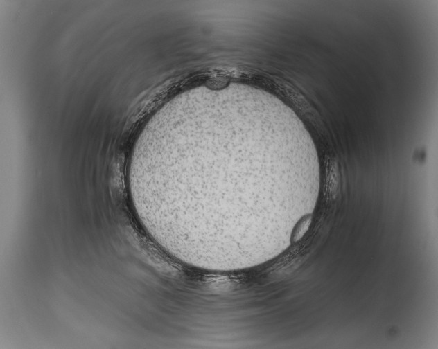 X0000114560616200911161225