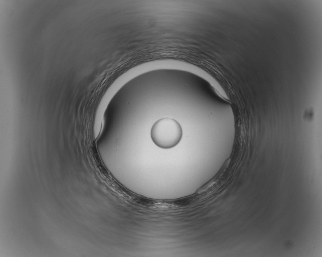 X0000114560617200911161225