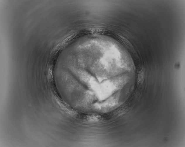 X0000114560618200911161225