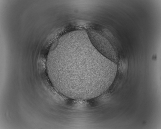 X0000114560621200911161225