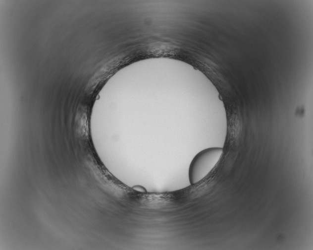 X0000114560622200911161225