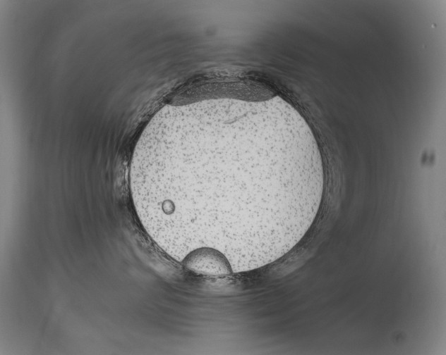 X0000114560624200911161225