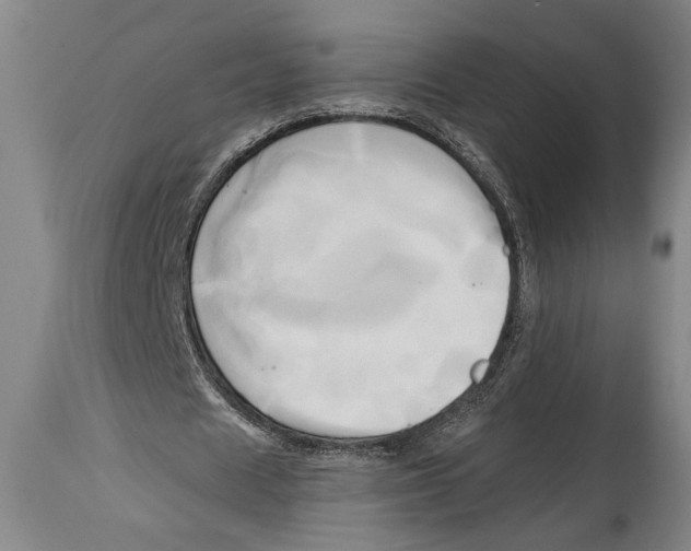 X0000114560625200911161224