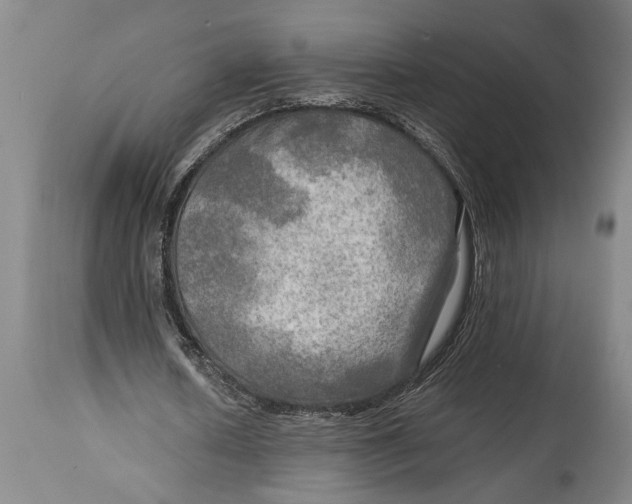 X0000114560626200911161224