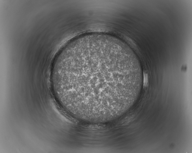 X0000114560627200911161224