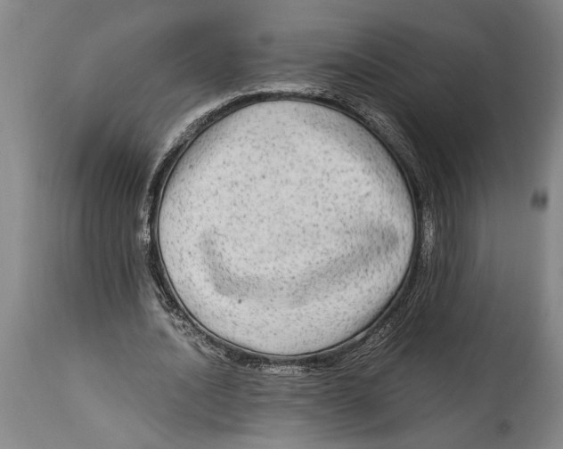 X0000114560628200911161224