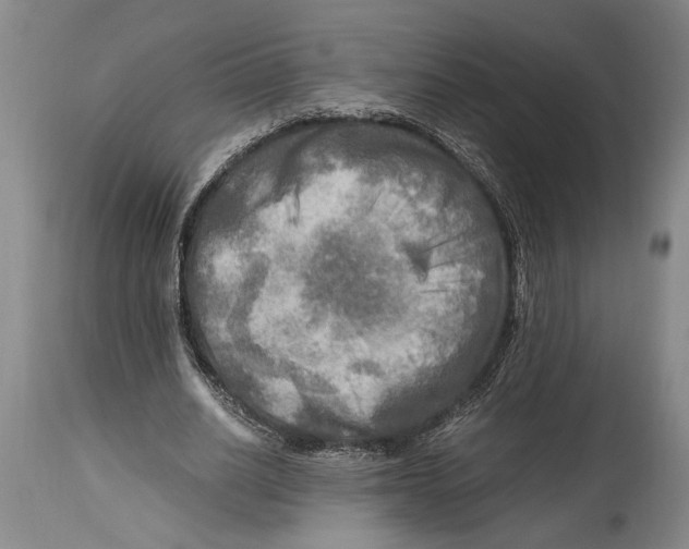 X0000114560630200911161225