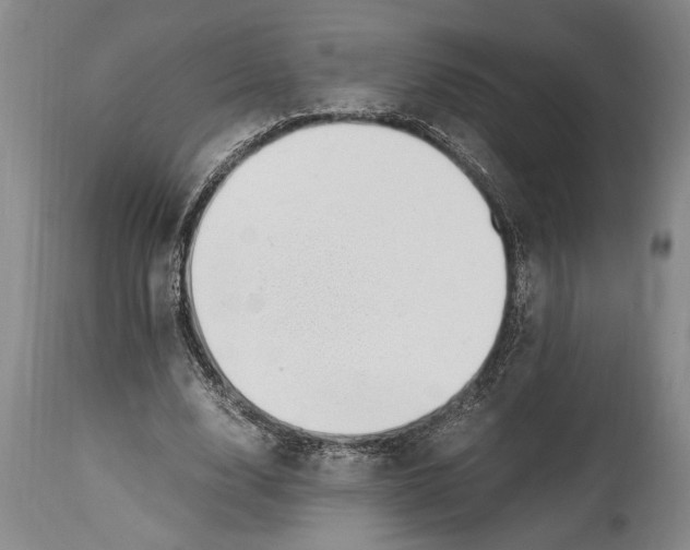 X0000114560632200911161225