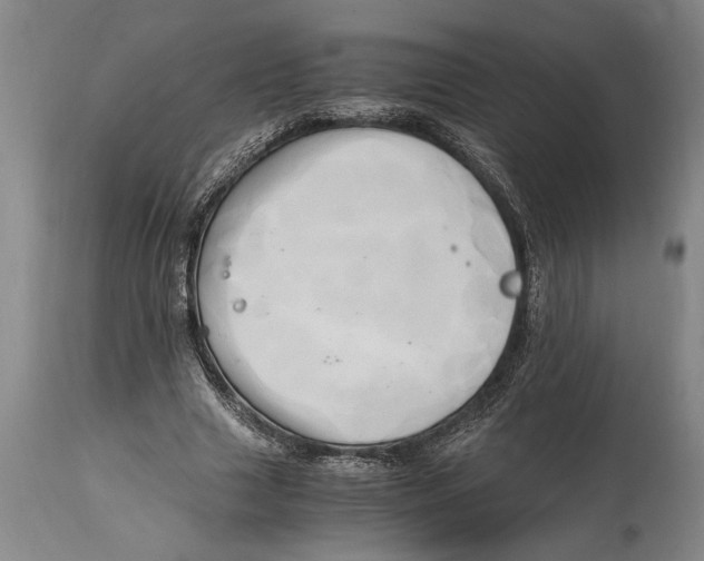 X0000114560633200911161225