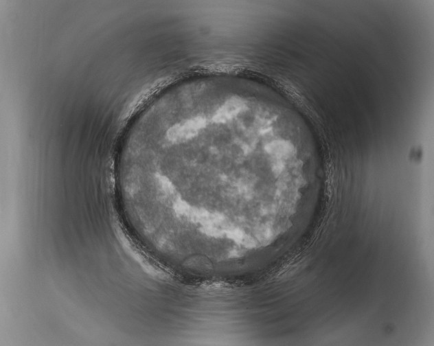 X0000114560634200911161225