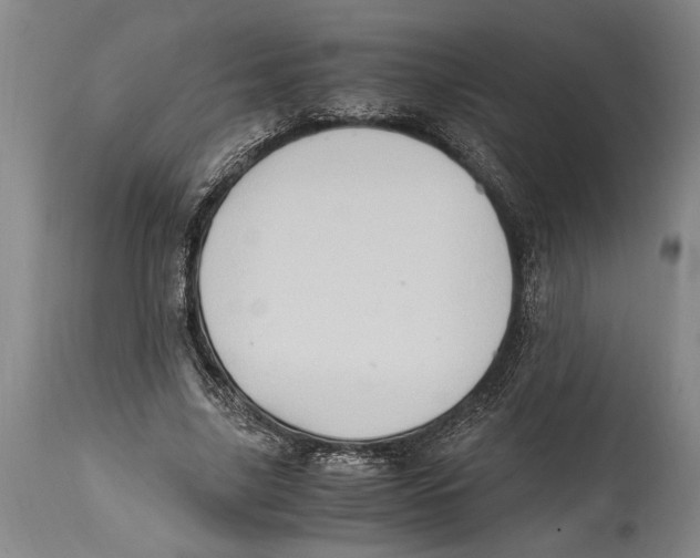 X0000114560635200911161225