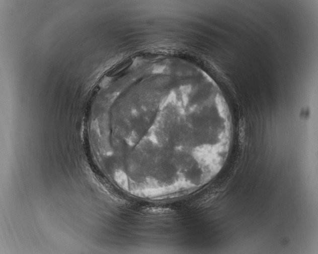 X0000114560637200911161225