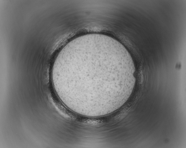 X0000114560638200911161225
