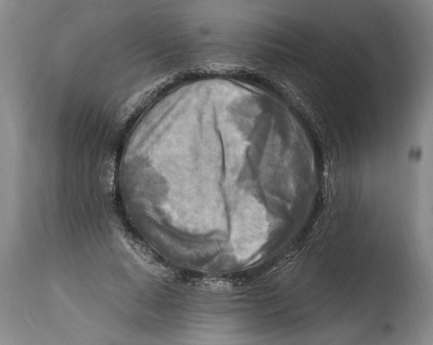 X0000114560640200911161225