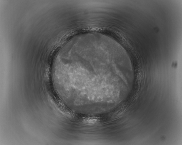 X0000114560643200911161225