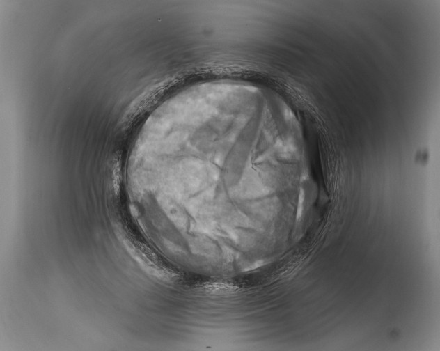 X0000114560644200911161225