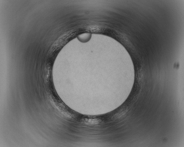 X0000114560645200911161225