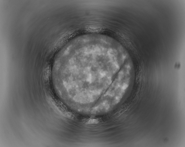X0000114560647200911161225