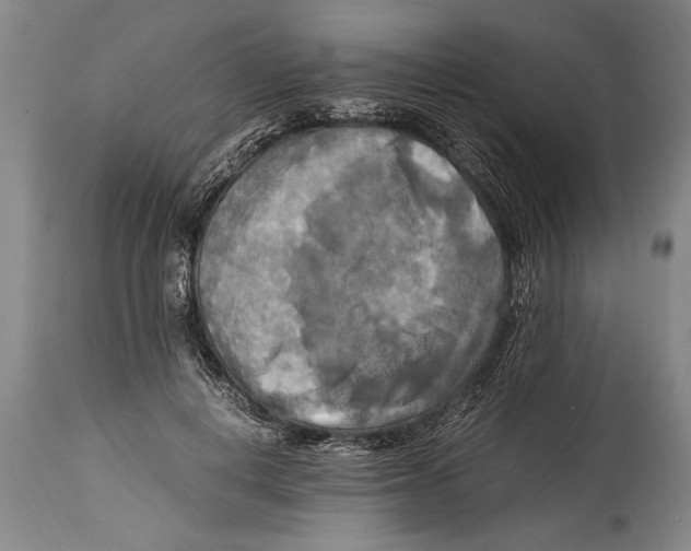 X0000114560648200911161225