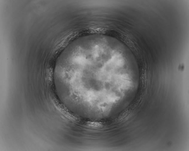 X0000114560649200911161225