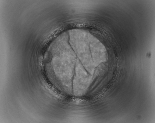 X0000114560650200911161225