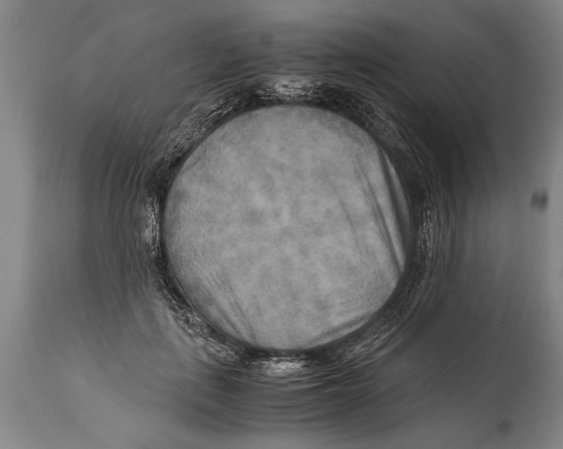 X0000114560651200911161225