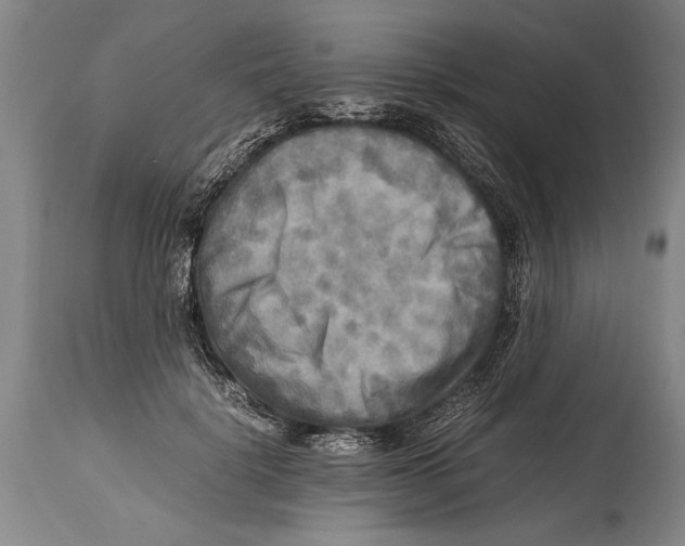 X0000114560652200911161225