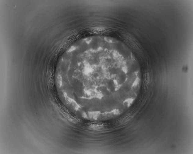 X0000114560653200911161225