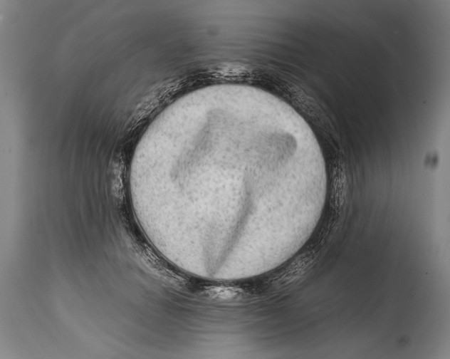 X0000114560654200911161225