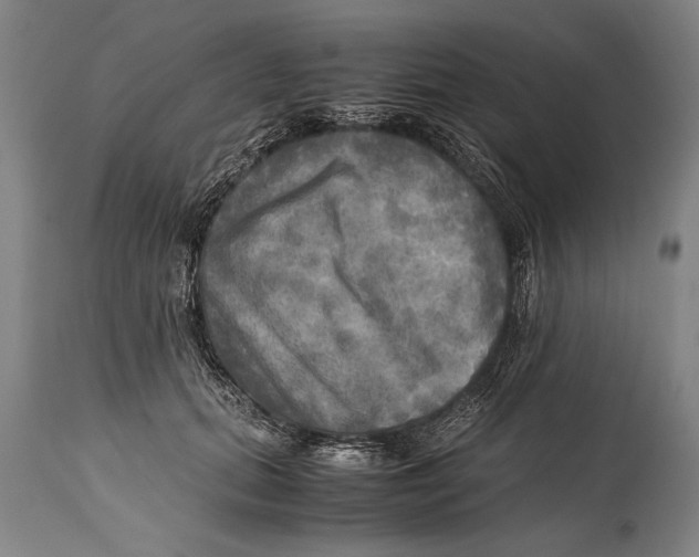 X0000114560655200911161225