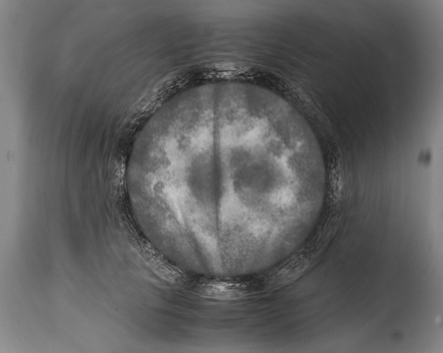 X0000114560657200911161225