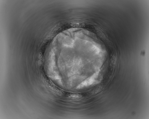 X0000114560659200911161225