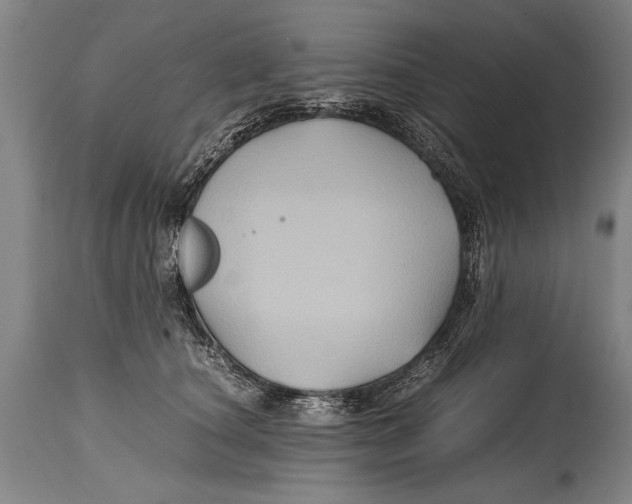 X0000114560660200911161225