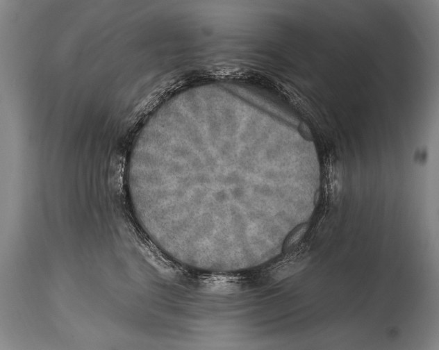 X0000114560664200911161225
