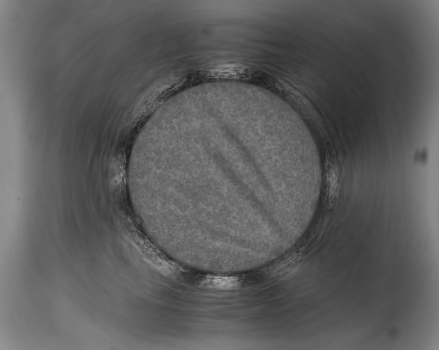 X0000114560665200911161225