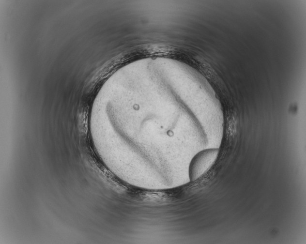X0000114560666200911161225