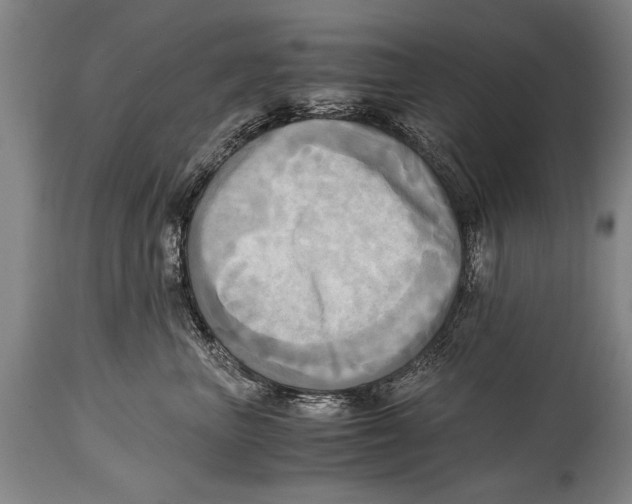 X0000114560667200911161225