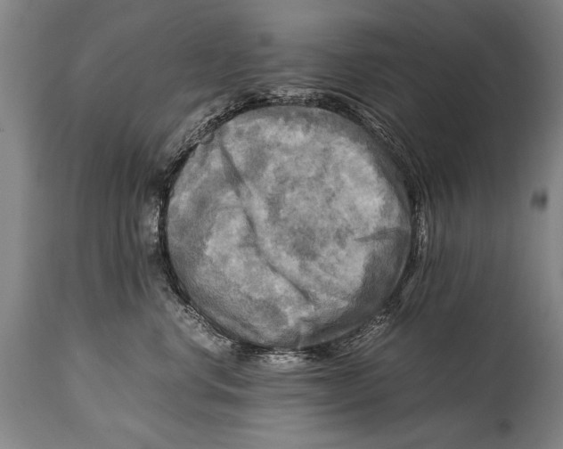 X0000114560668200911161225