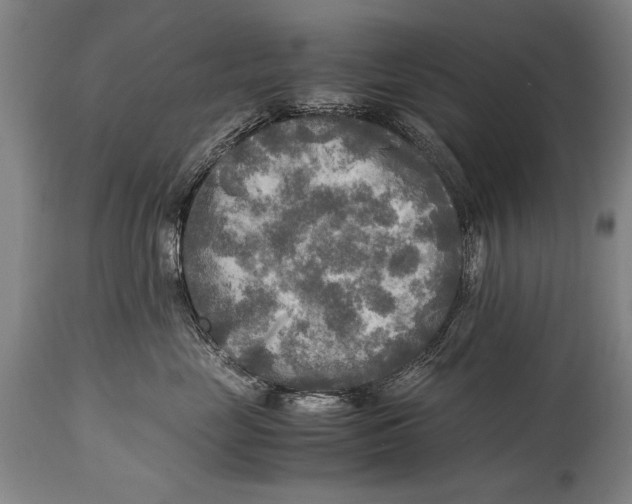 X0000114560669200911161225