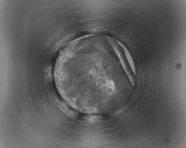X0000114560670200911161225