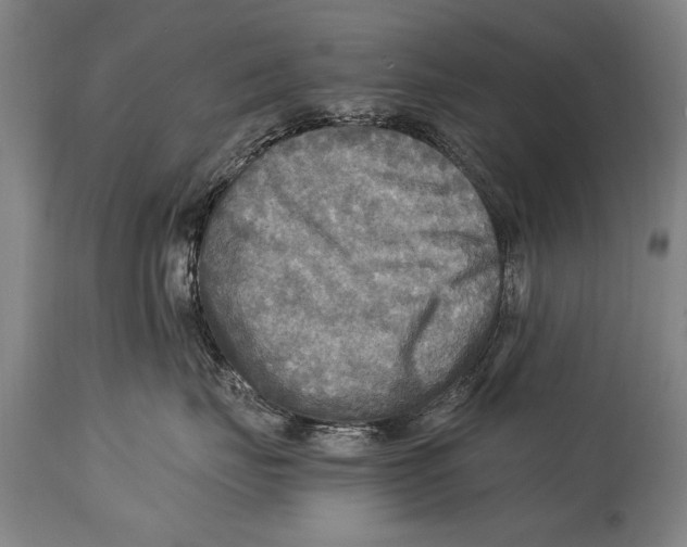 X0000114560671200911161225