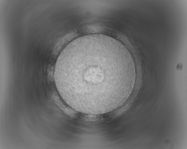 X0000114560672200911161225