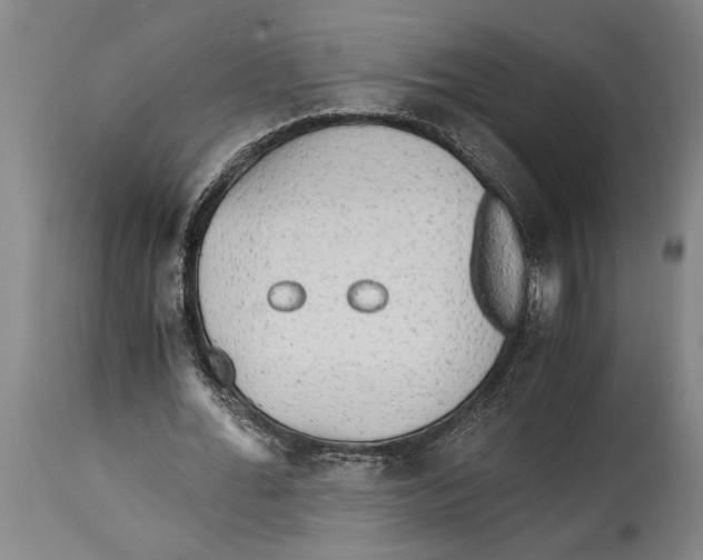 X0000114560676200911161224