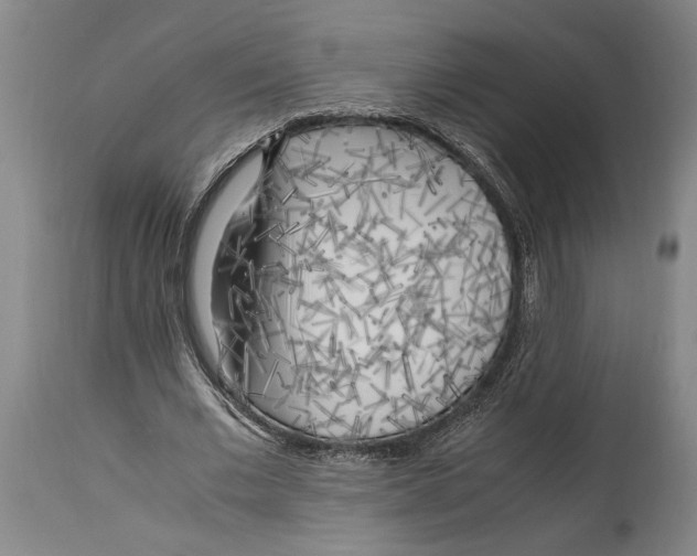 X0000114560677200911161224