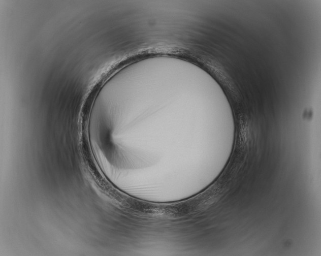X0000114560678200911161224