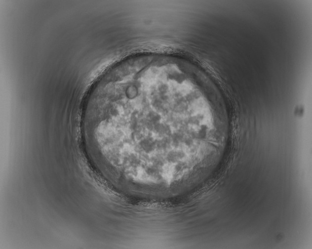 X0000114560679200911161224