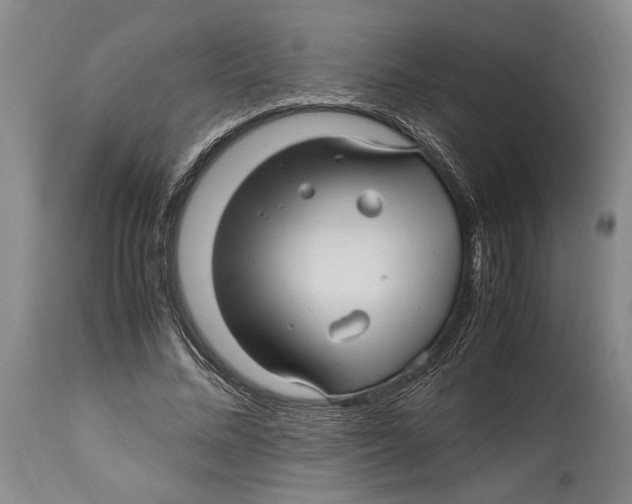 X0000114560684200911161224